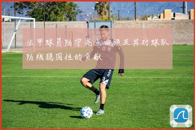 法甲球员防守亮点回顾及其对球队防线稳固性的贡献